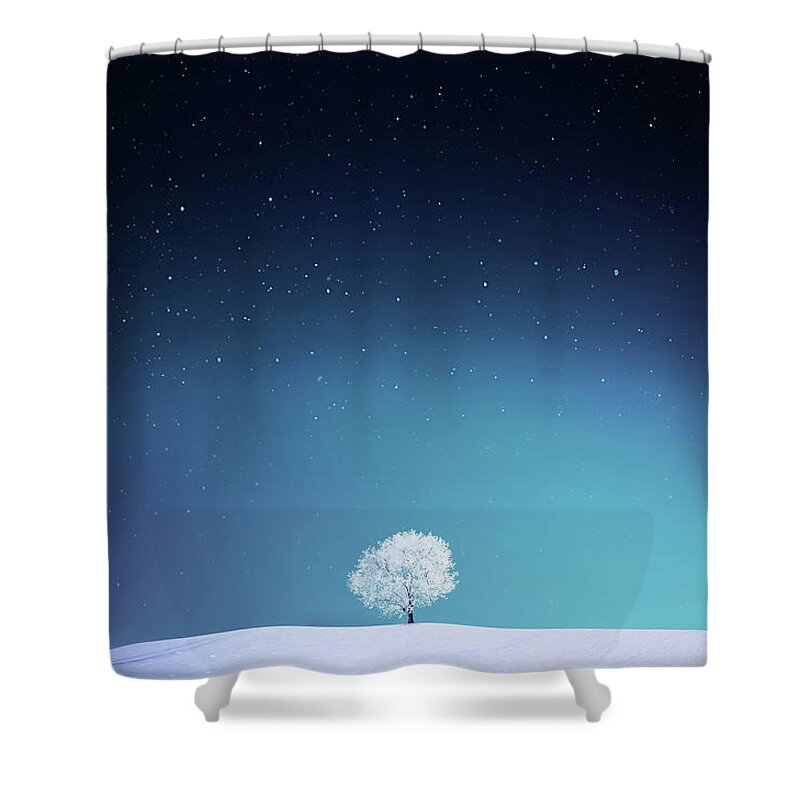 Apple Shower Curtain featuring the photograph Apple #1 by Bess Hamiti