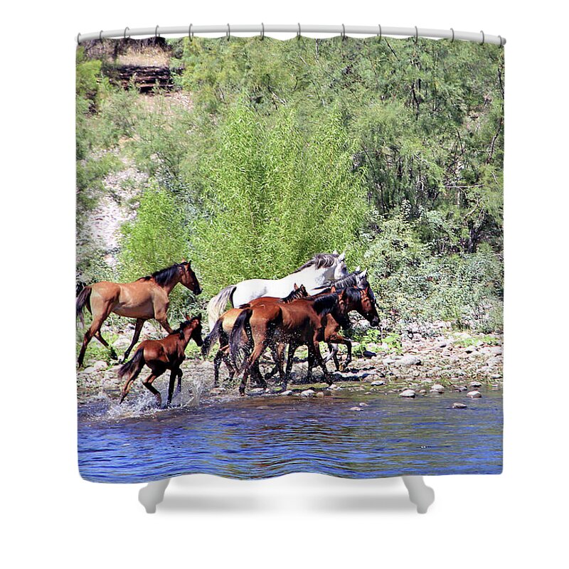 River Shower Curtain featuring the photograph Arizona Wild Horses by Matalyn Gardner