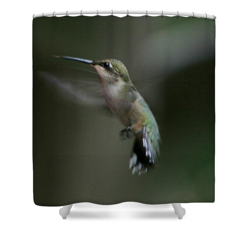 Bird Shower Curtain featuring the photograph At Dawn #1 by Barbara S Nickerson