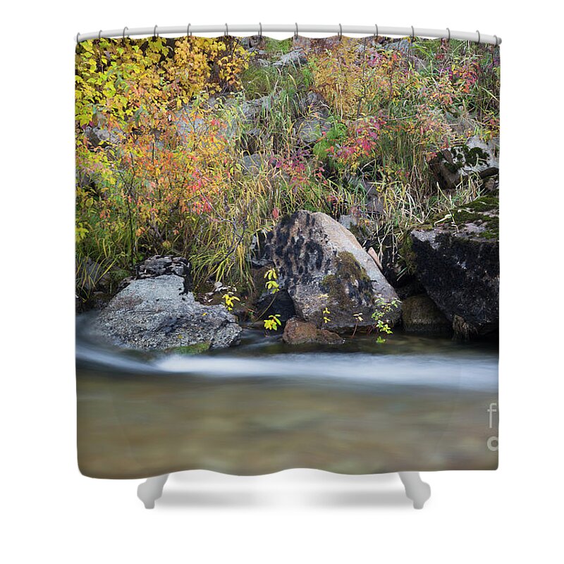 Coeur D'alene National Forest Shower Curtain featuring the photograph Autumn Flow #1 by Idaho Scenic Images Linda Lantzy