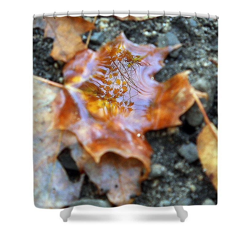 Leaves Shower Curtain featuring the photograph Autumn Leaves #1 by Wolfgang Schweizer