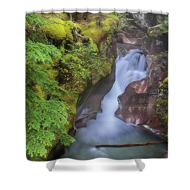 Water Fall Shower Curtain featuring the photograph Avalanche Gorge #1 by Jack Bell