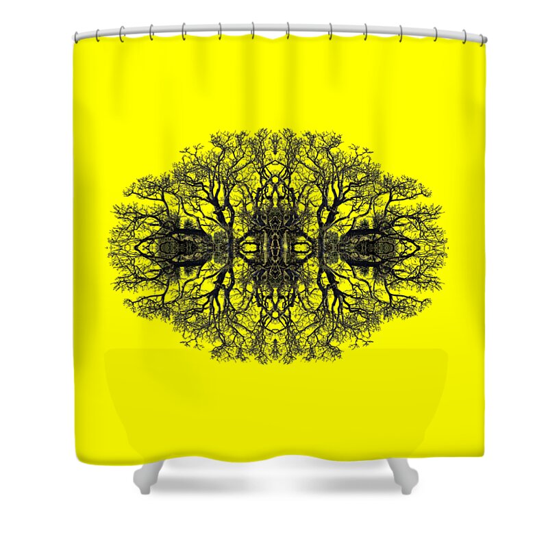 Bare Shower Curtain featuring the photograph Bare Tree #1 by Debra and Dave Vanderlaan
