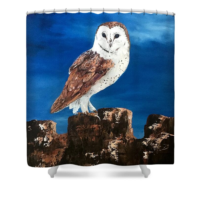 Owl Shower Curtain featuring the painting Barn Owl #1 by Jean Walker