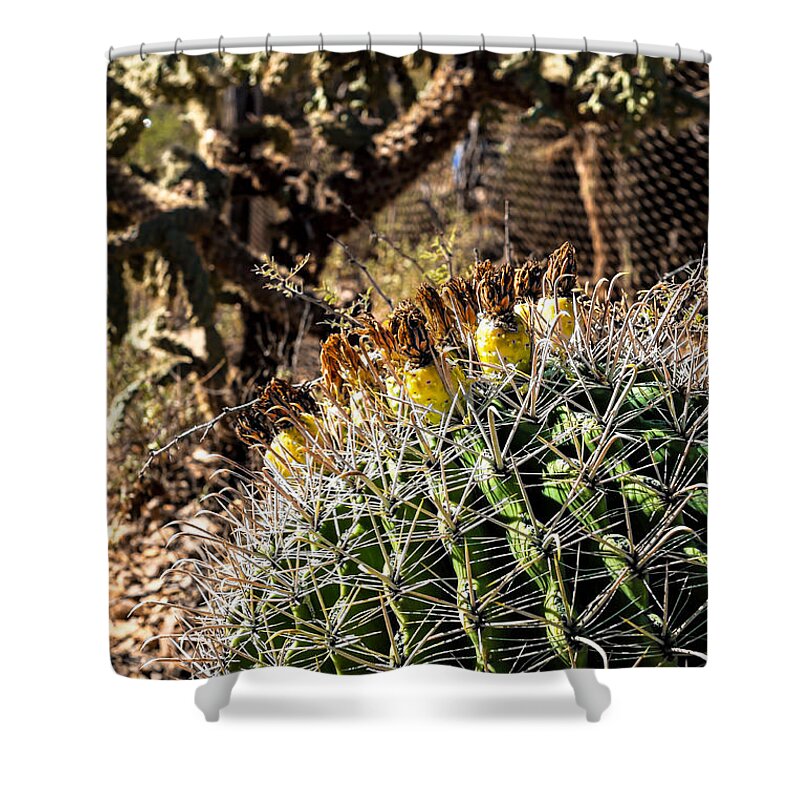 Arid Shower Curtain featuring the photograph Barrel Cactus #1 by Lawrence Burry