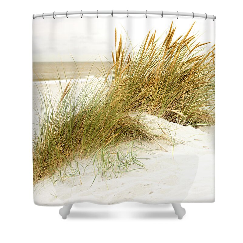 Europe Shower Curtain featuring the photograph Beach Grass #1 by Hannes Cmarits