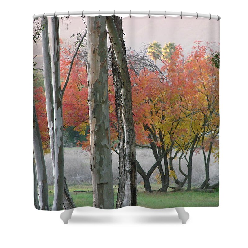 Landscape Shower Curtain featuring the photograph Besant Meadow in the Fall #1 by Liz Vernand