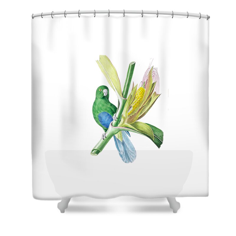 Brazilian Shower Curtain featuring the painting Brazilian Parrot #1 by Philip Ralley