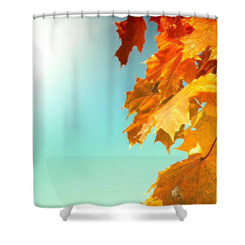 Autumn Shower Curtain featuring the photograph Yellow Autumn White Sun by John Williams