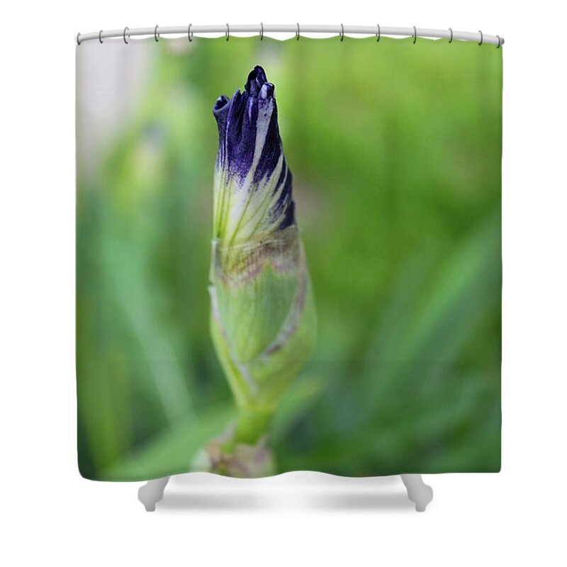 Iris Shower Curtain featuring the photograph Brilliantly Imagined #1 by Michiale Schneider