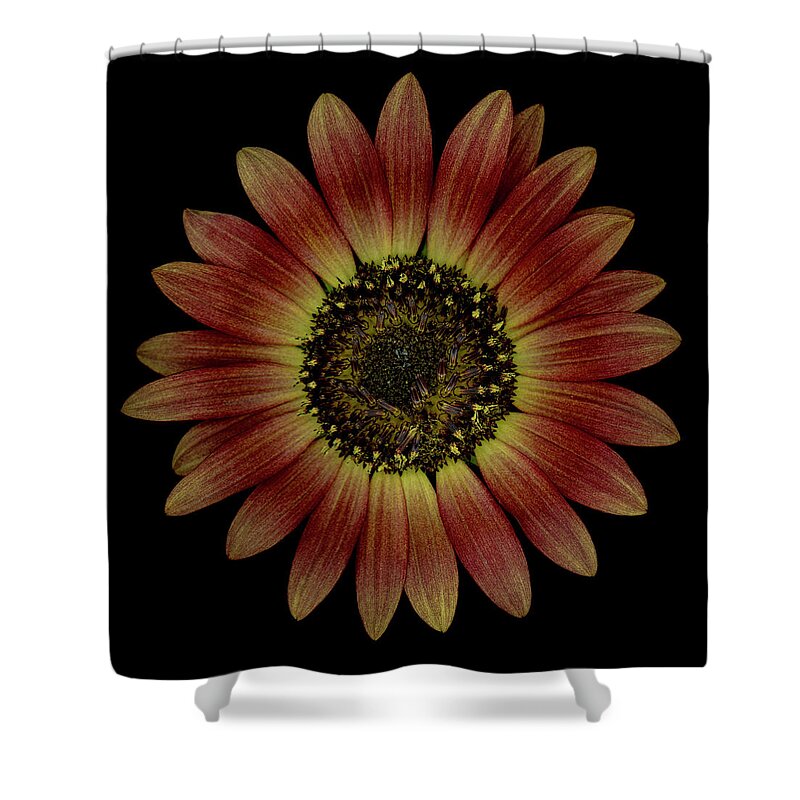 Black Shower Curtain featuring the photograph Brown Sunflower #1 by Oscar Gutierrez