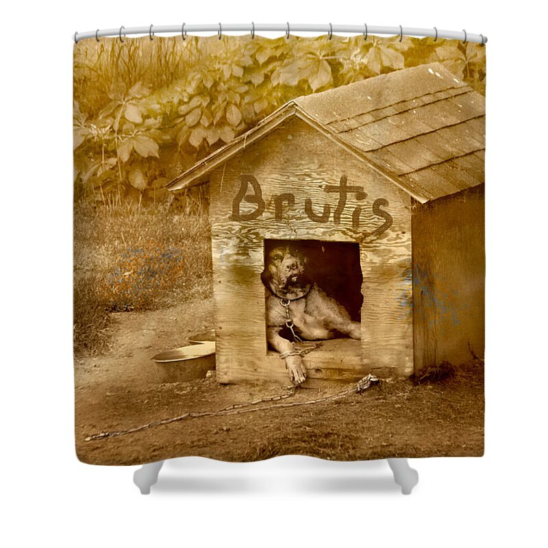 Dog Shower Curtain featuring the photograph Brutis #1 by David Yocum