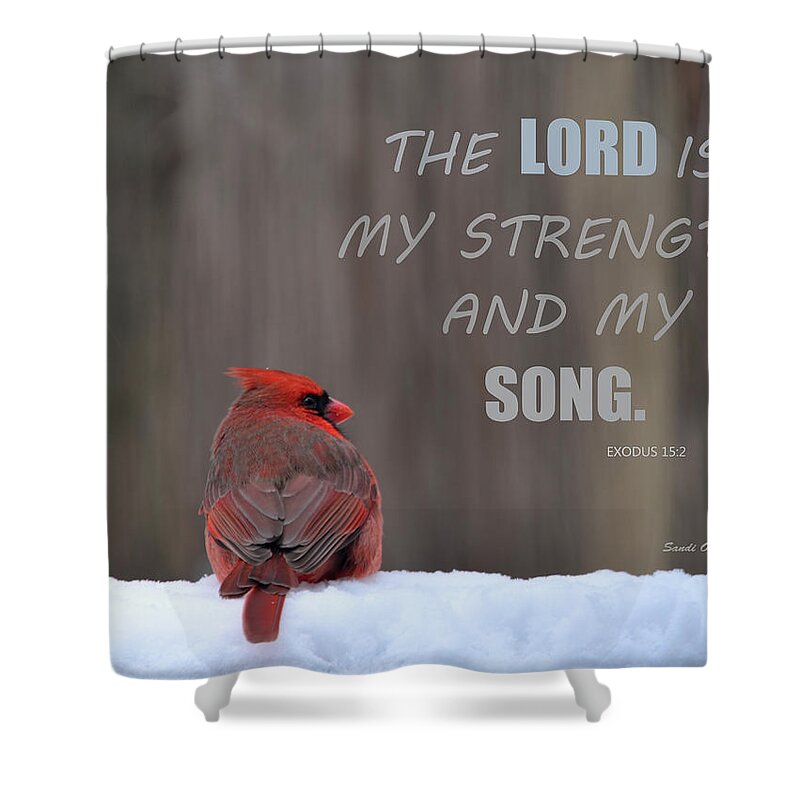 Northern Cardinal Shower Curtain featuring the photograph Cardinal In The Snowstorm With Scripture by Sandi OReilly