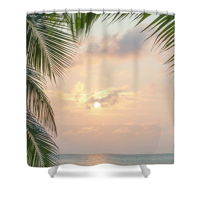 Caribbean Shower Curtain featuring the photograph Caribbean Sunrise Palms Background #1 by THP Creative