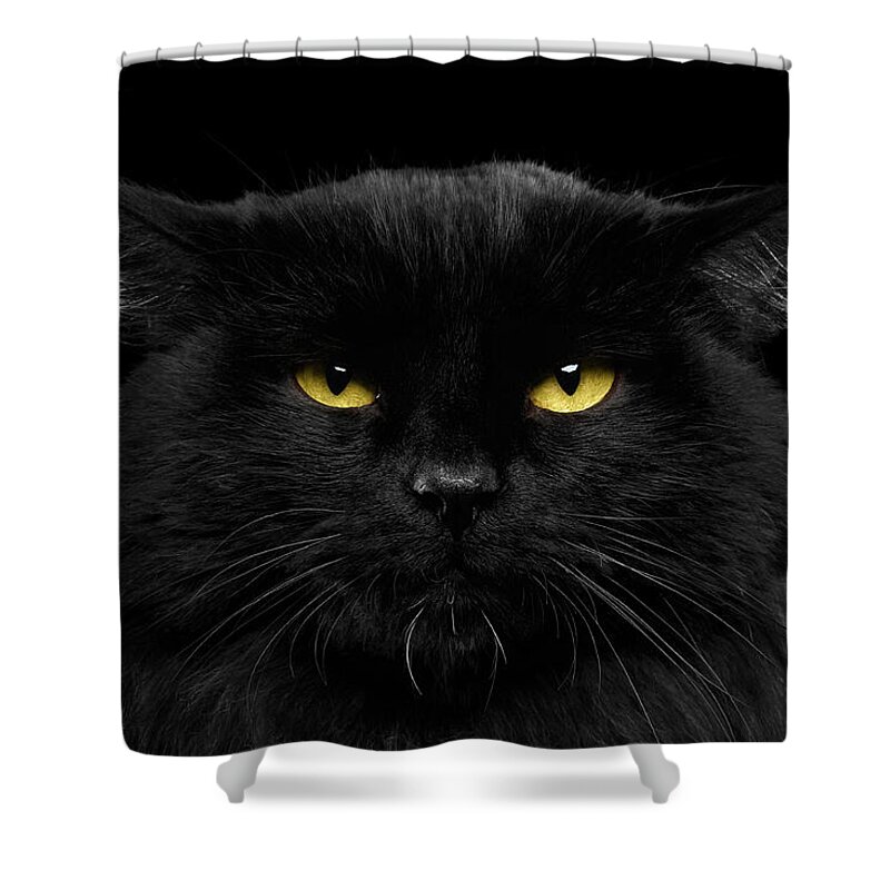 Black Shower Curtain featuring the photograph Close-up Black Cat with Yellow Eyes by Sergey Taran