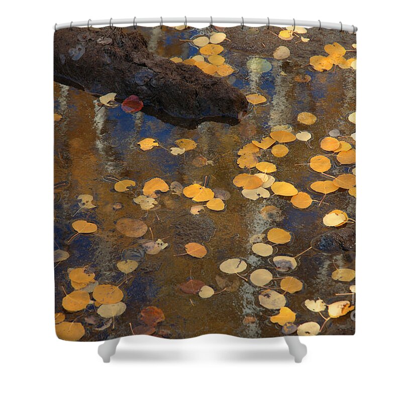 Colorado Shower Curtain featuring the photograph Colorado Fall #1 by Jerry McElroy