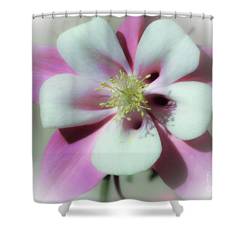 Columbine Shower Curtain featuring the photograph Columbine #1 by Veronica Batterson