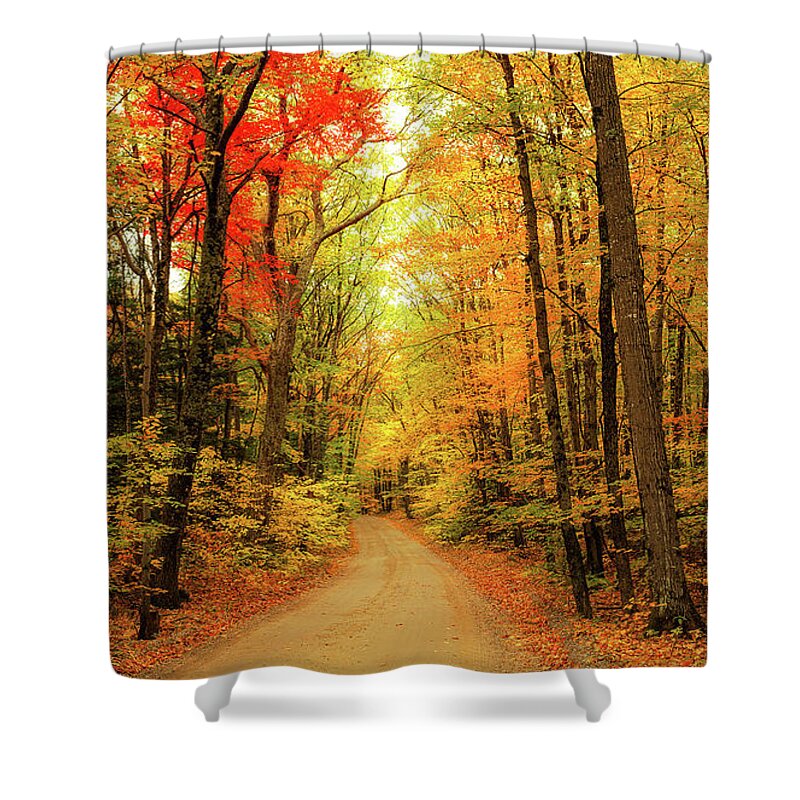Fall Shower Curtain featuring the photograph Country Road #2 by Robert Clifford