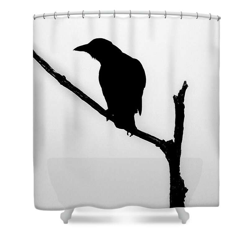 Curious Shower Curtain featuring the photograph Curious #1 by Dark Whimsy