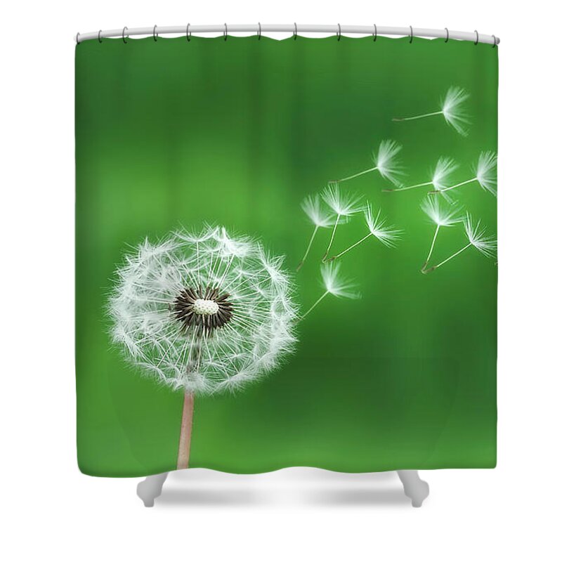 Abstract Shower Curtain featuring the photograph Dandelion seeds #1 by Bess Hamiti