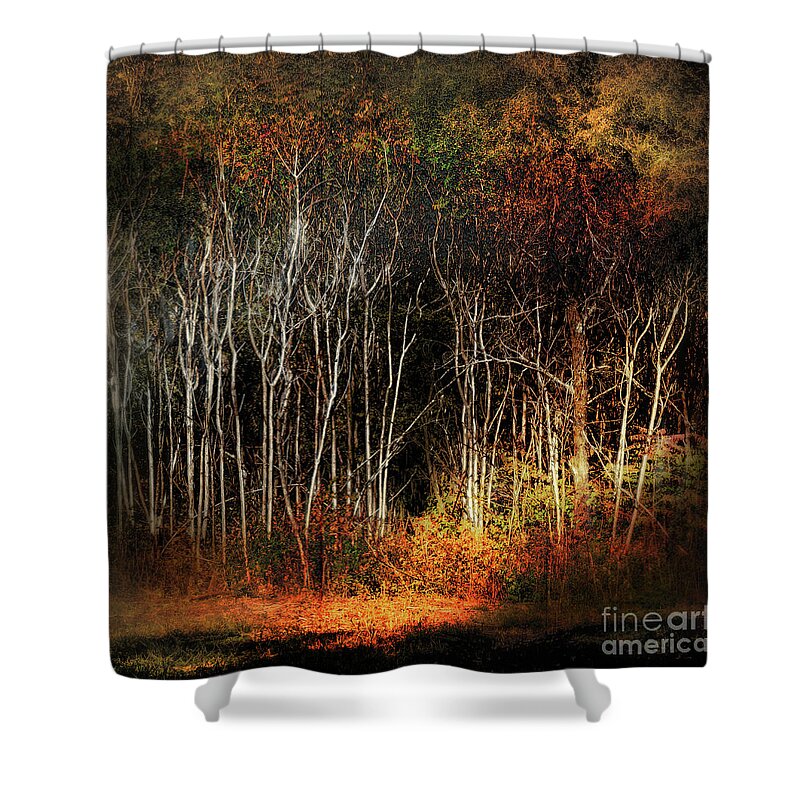 Daybreak Shower Curtain featuring the photograph Daybreak #1 by John Anderson