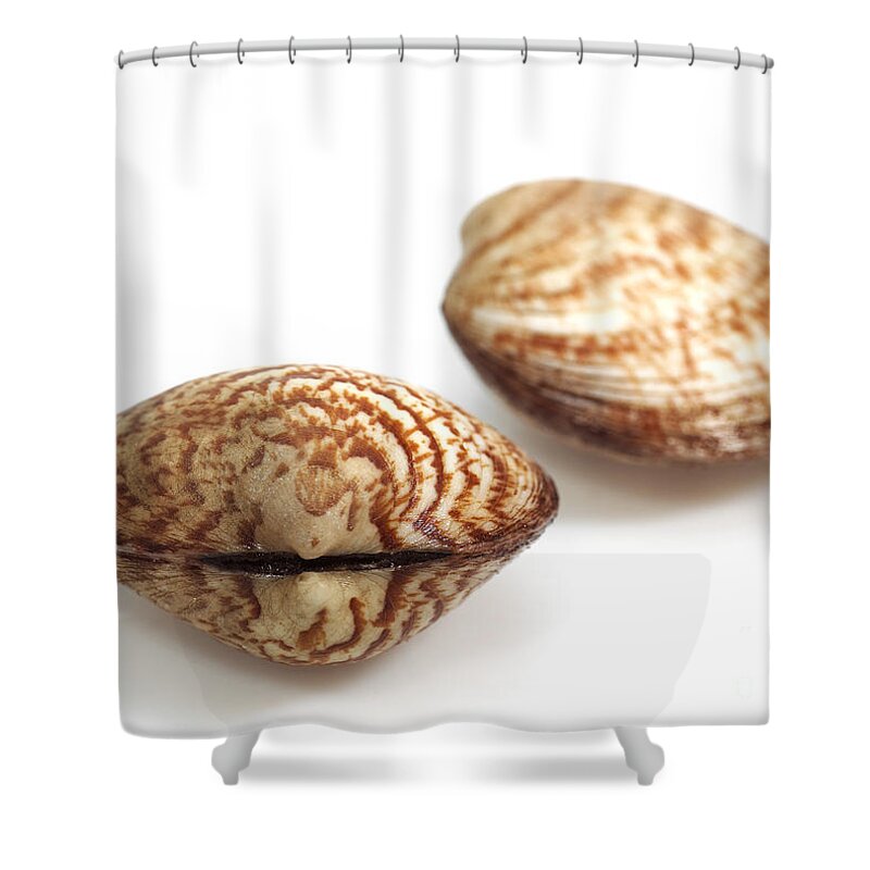 Animal Shower Curtain featuring the photograph Dog Cockles #1 by Gerard Lacz