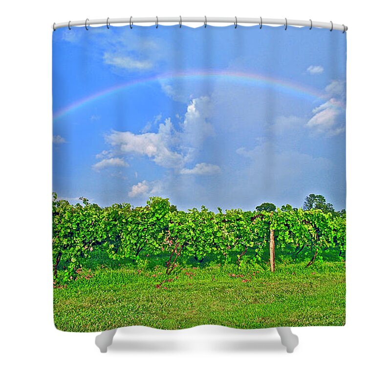 Double Rainbow Shower Curtain featuring the photograph Double Rainbow Vineyard, Smith Mountain Lake #1 by The James Roney Collection