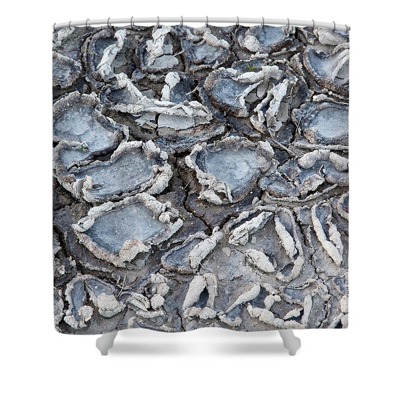 Mud Shower Curtain featuring the photograph Drying Cracked Mud #1 by Inga Spence