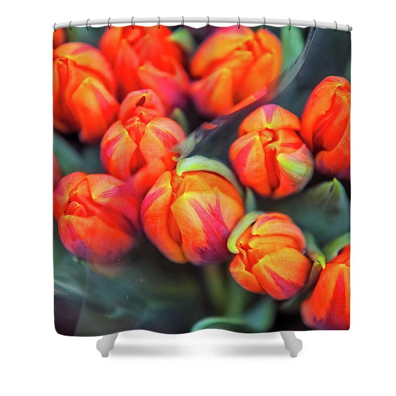 Jenny Raibow Fine Art Photography Shower Curtain featuring the photograph Dutch Orange Tulips #2 by Jenny Rainbow