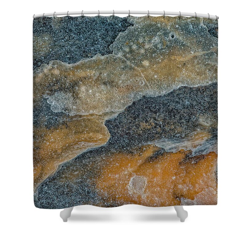 Earth Shower Curtain featuring the photograph Earth Portrait 283 #1 by David Waldrop