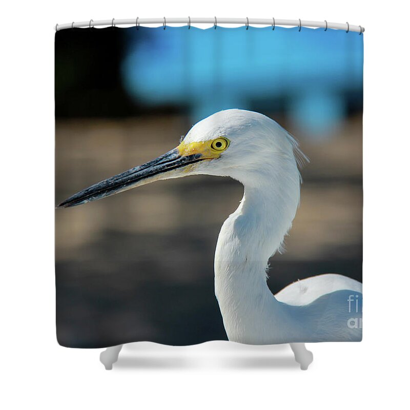 Egret Shower Curtain featuring the photograph Egret #1 by SnapHound Photography