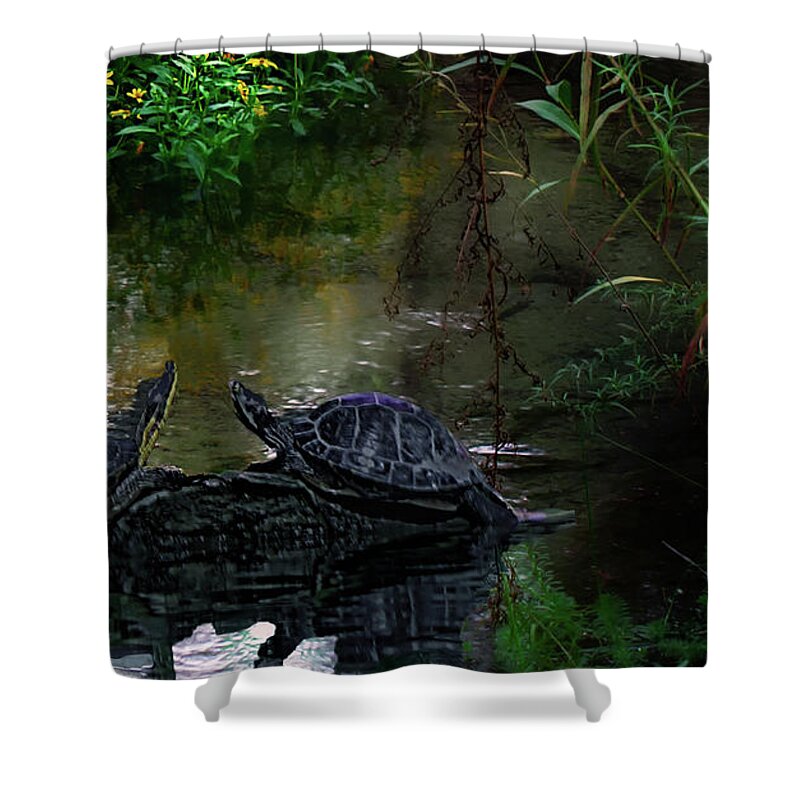 Turtle Shower Curtain featuring the photograph El Dorado Nature Center #1 by Joseph Hollingsworth