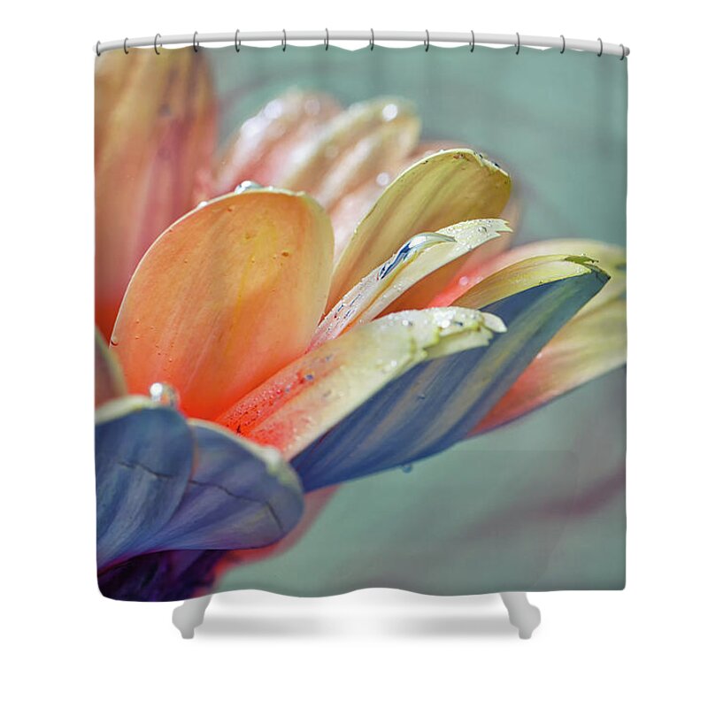 Plant Shower Curtain featuring the photograph Elegance #1 by Stelios Kleanthous
