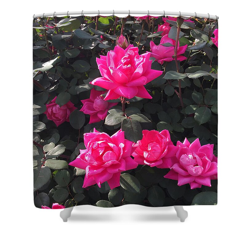 Rose Shower Curtain featuring the photograph Enjoy The Simple Moments #3 by Matthew Seufer