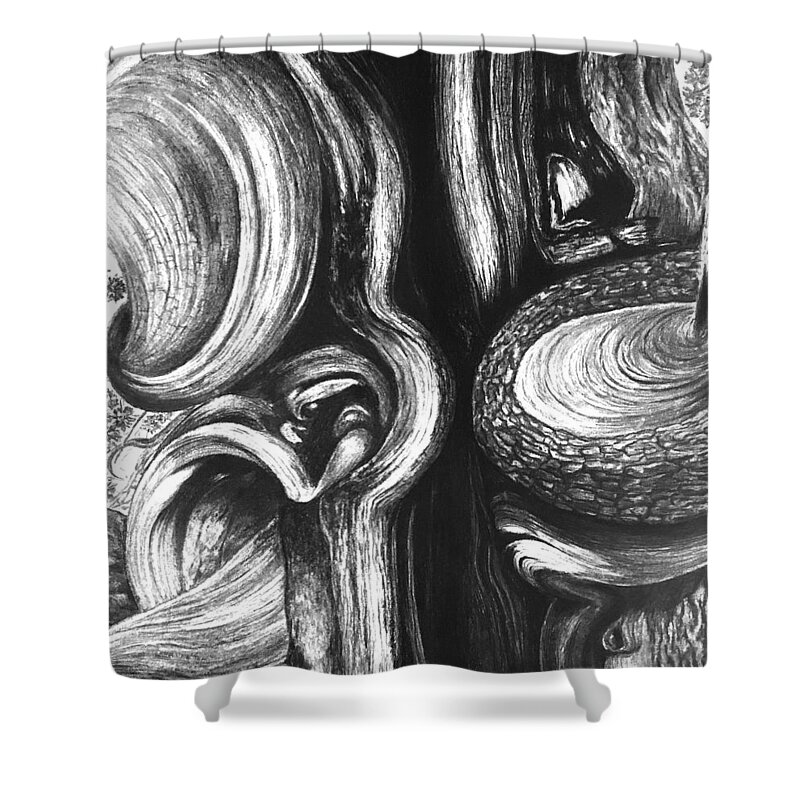 Texture Of Old Tree Shower Curtain featuring the drawing Eternity by Ella Boughton