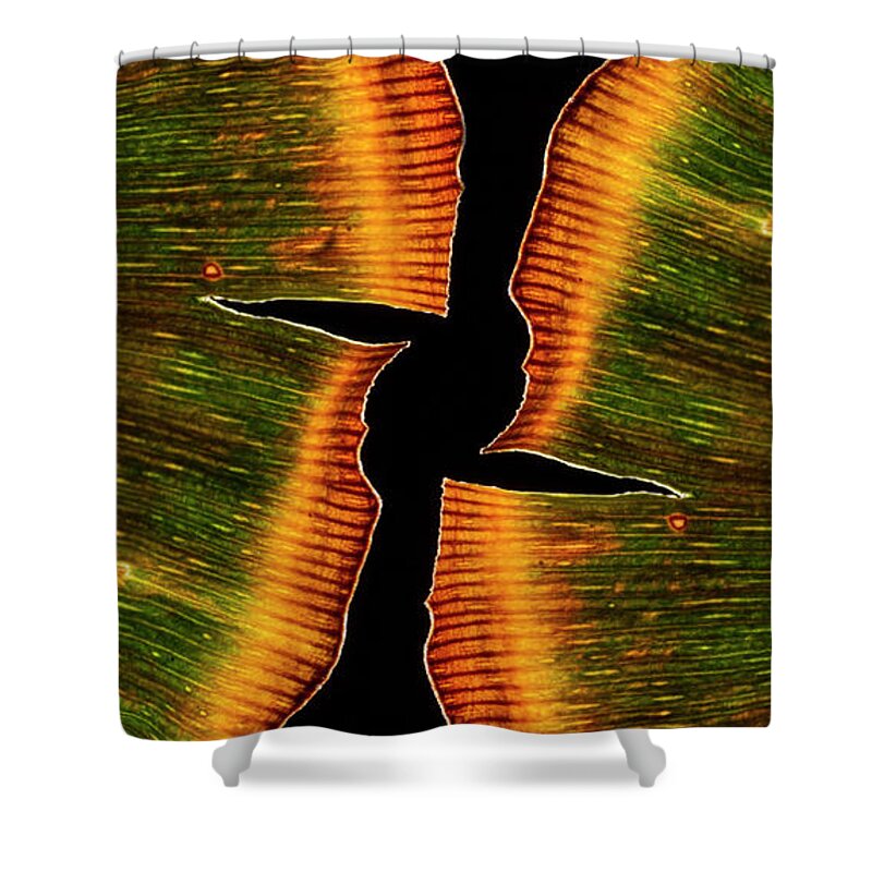 Ginkgo Leaves Shower Curtain featuring the photograph Faded Glory #1 by Garry McMichael