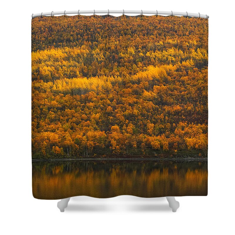 Fall Shower Curtain featuring the photograph Fall Colors in the Arctic #1 by Pekka Sammallahti