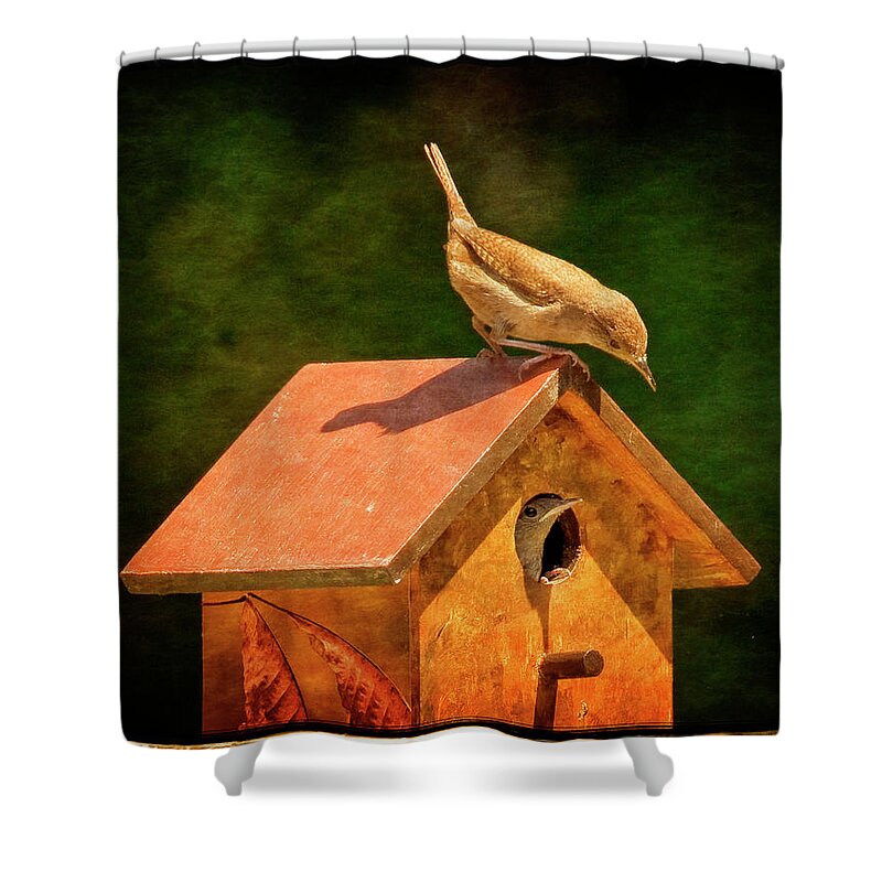 Feeding Time Shower Curtain featuring the photograph Feeding Time #1 by Frank Winters