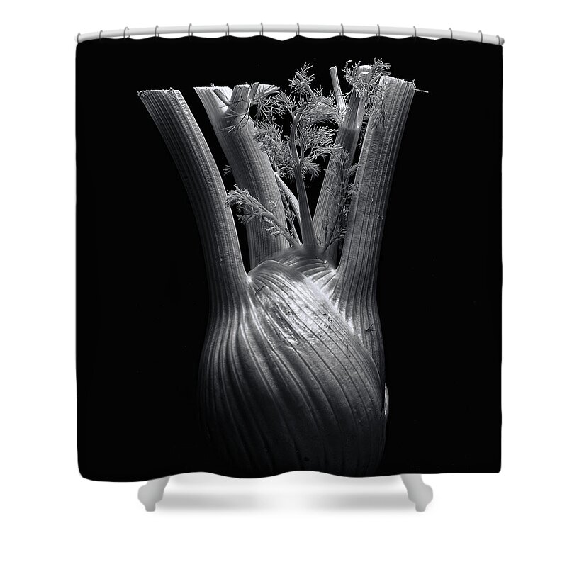 Fennel Shower Curtain featuring the photograph Fennel by Wayne Sherriff