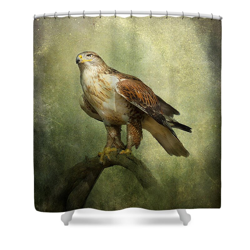 Hawks Shower Curtain featuring the photograph Ferruginous Hawk #1 by Barbara Manis