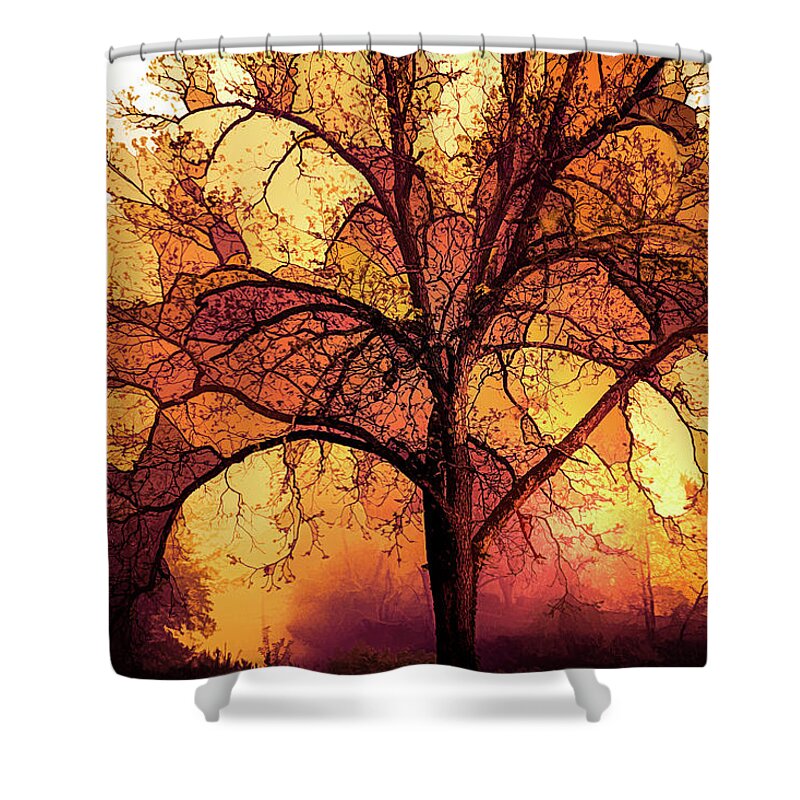 Appalachia Shower Curtain featuring the photograph Fire in the Trees #1 by Debra and Dave Vanderlaan