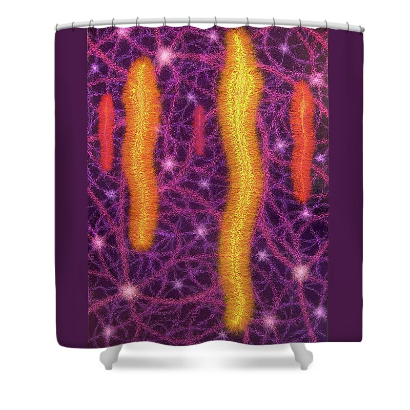 Color Shower Curtain featuring the painting Five One by Stephen Mauldin