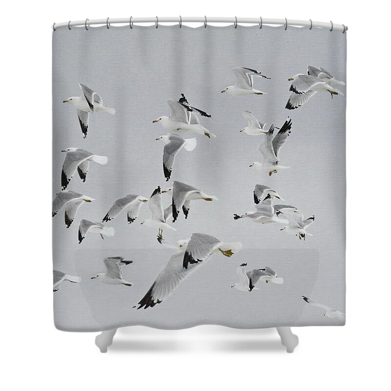 Flock Of Birds Shower Curtain featuring the photograph Flock of Birds #1 by Andrea Kollo