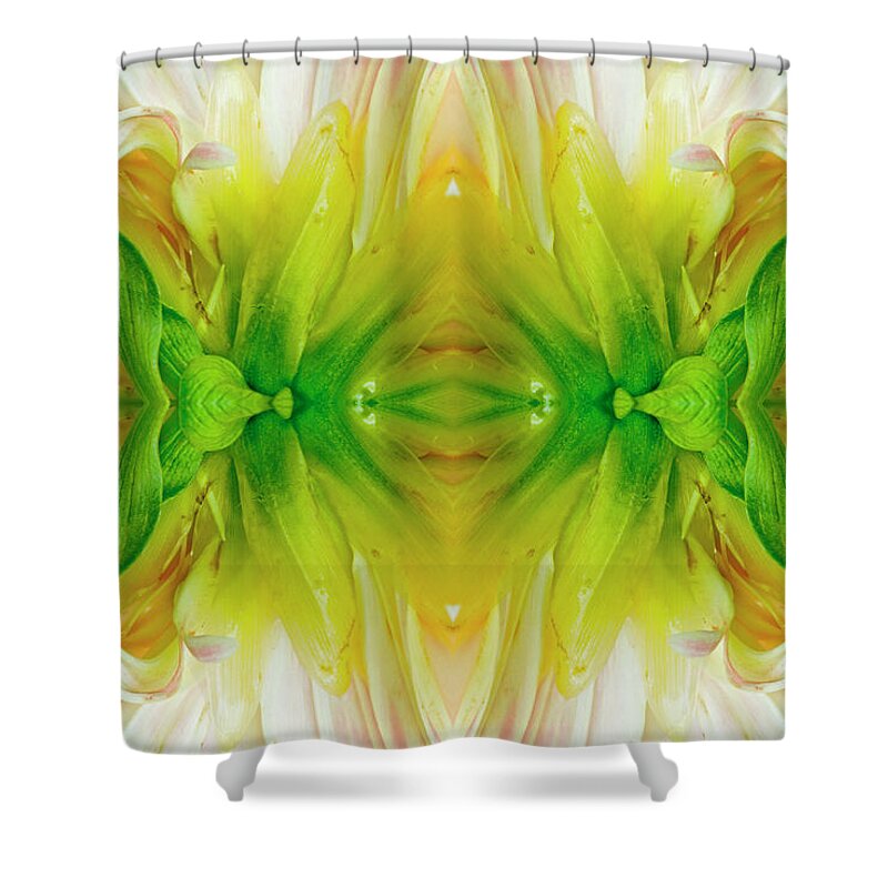 Mandala Shower Curtain featuring the photograph Flower Mandala - 0031-d by Paul W Faust - Impressions of Light