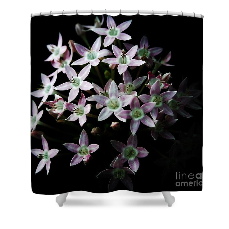 Flower Shower Curtain featuring the photograph Flower #2 by Onie Dimaano