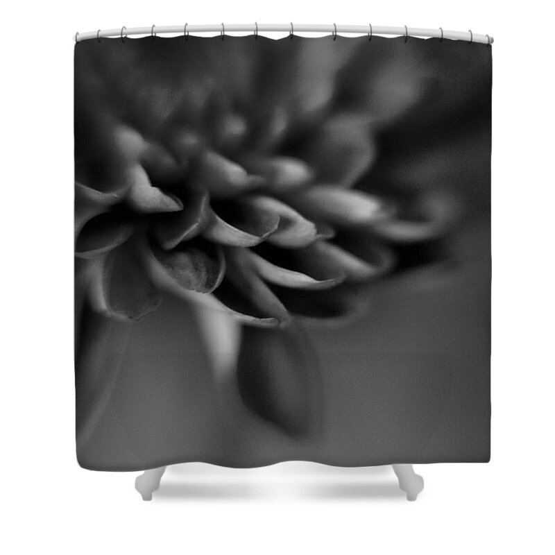Flower Shower Curtain featuring the photograph Focus #1 by Nancy Dinsmore