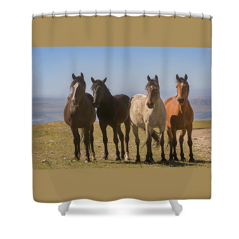 Mark Miller Photos Shower Curtain featuring the photograph The Four Amigos Wild Stallions by Mark Miller
