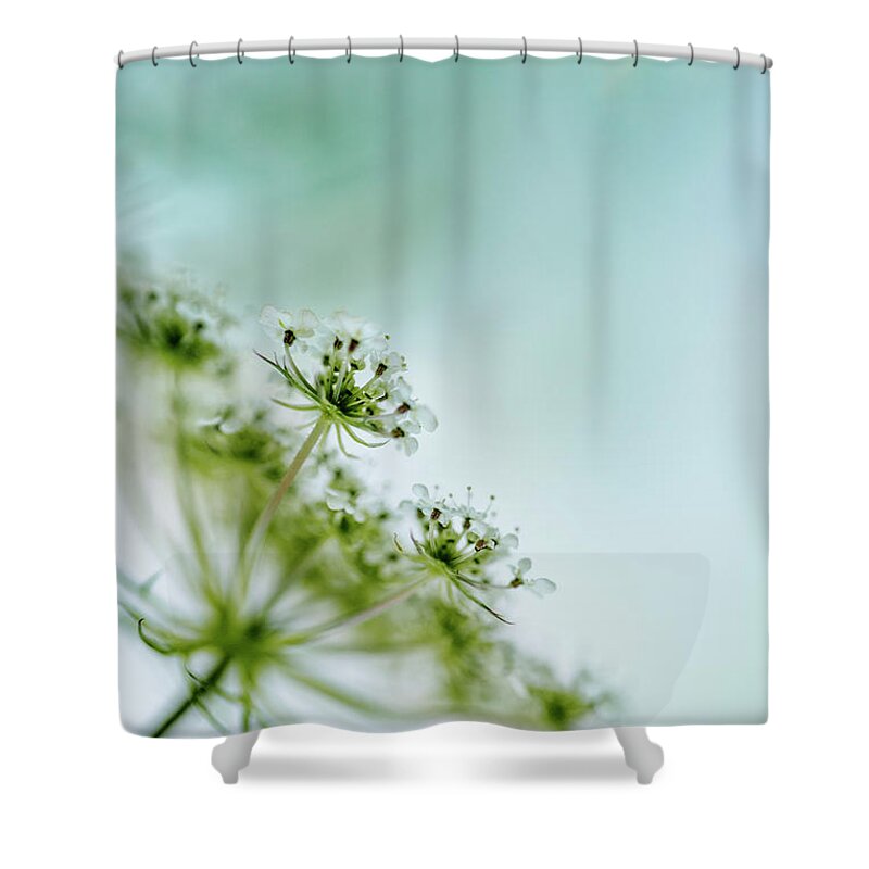 Umbel Shower Curtain featuring the photograph Fragile by Nailia Schwarz
