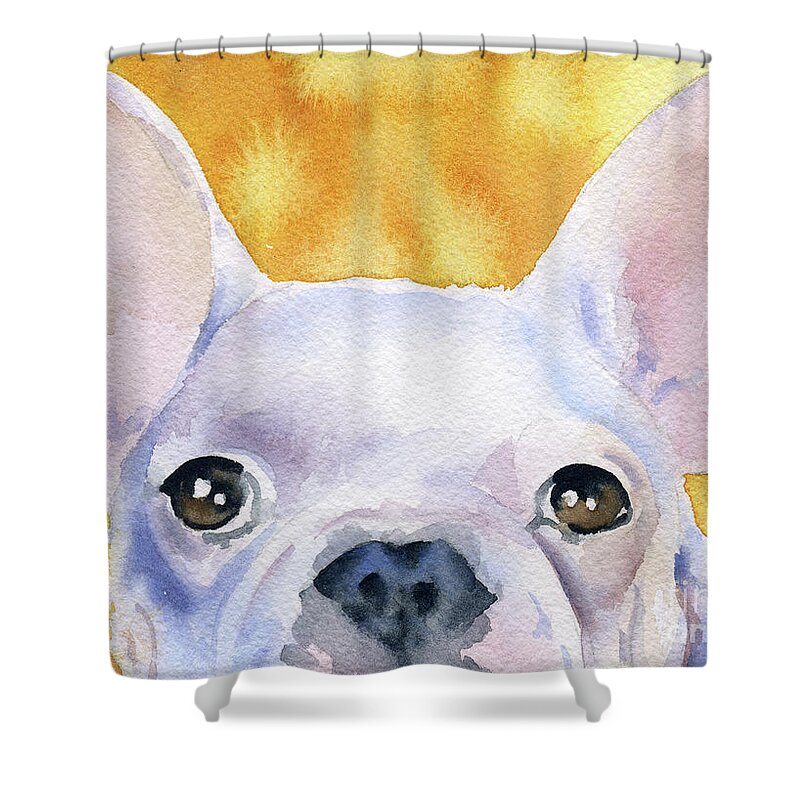 French Shower Curtain featuring the painting French Bulldog by David Rogers