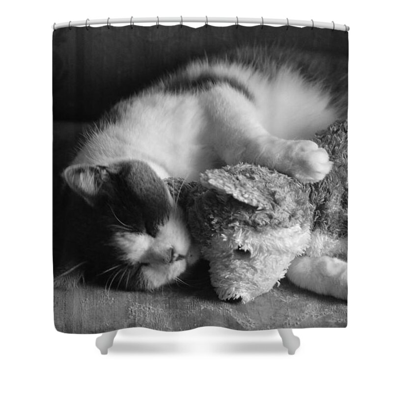  Shower Curtain featuring the photograph Friends by Michelle Hoffmann
